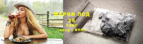 индика Бугульма
