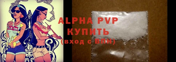 индика Бугульма
