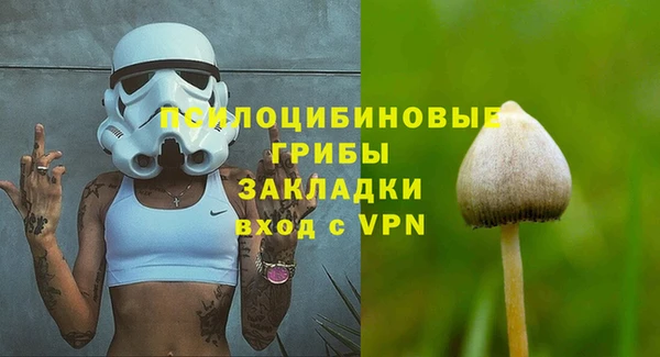 дурь Верхний Тагил